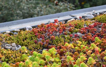 the cost of Mythop green roof installation