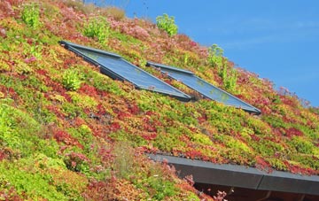 Mythop living roof systems