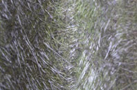 Mythop fibreglass roof work